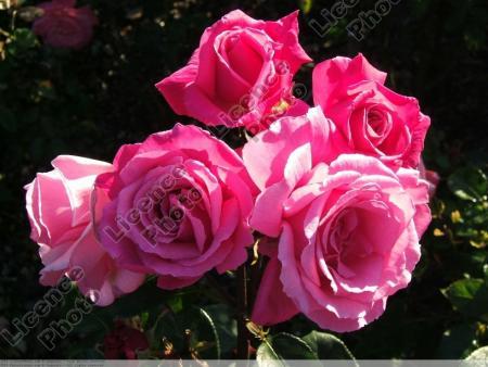 ................................